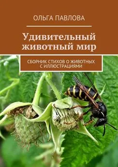 Ольга Павлова - Удивительный животный мир. Сборник стихов о животных с иллюстрациями