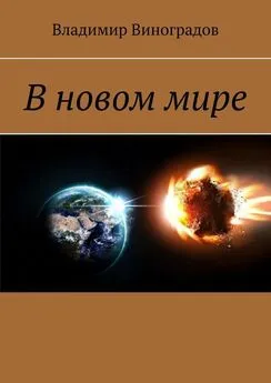 Владимир Виноградов - В новом мире