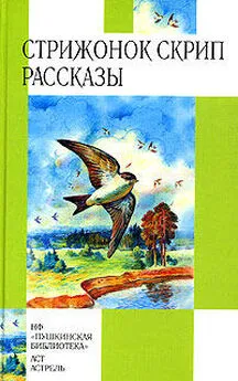 Виктор Астафьев - Стрижонок Скрип