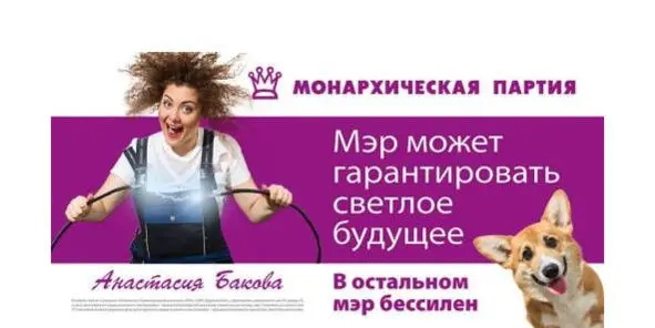 Предвыборные плакаты - фото 16