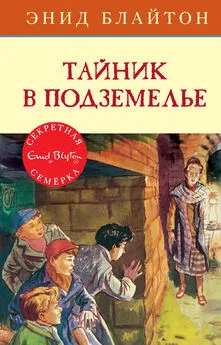 Энид Блайтон - Тайник в подземелье