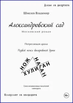 Владимир Шмелев - Александровский сад. Московский роман