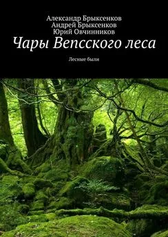 Юрий Овчинников - Чары Вепсского леса. Лесные были