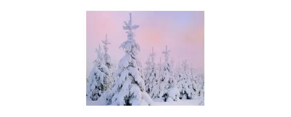 Зима любительница стужи Укрыла ситцами простор Пушистый снег неспешно - фото 1
