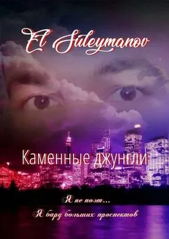 El Suleymanov - Каменные джунгли. Я не поэт… Я бард больших проспектов…