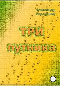 Александр Бородулин - Три путника