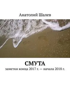 Анатолий Шалев - Смута. Заметки конца 2017 г. – начала 2018 г.