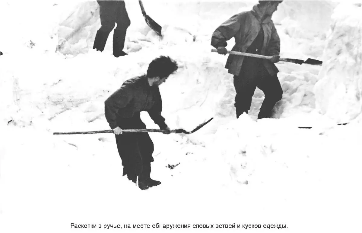 После обеда в 15 часов снова вернулись к раскопанному настилу В Уральских - фото 8