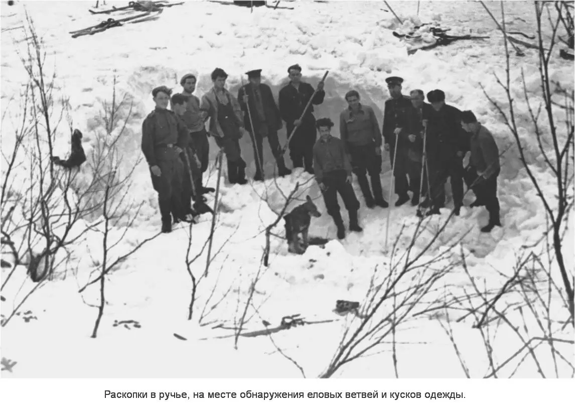 После обеда в 15 часов снова вернулись к раскопанному настилу В Уральских - фото 9