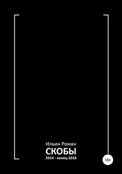 Роман Ильин - Скобы 2014 – конец 2018