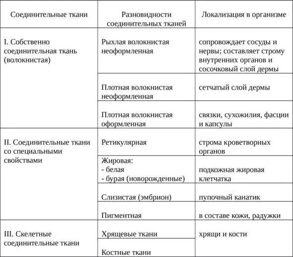 Классификация соединительной ткани 2 Строение и функции - фото 32