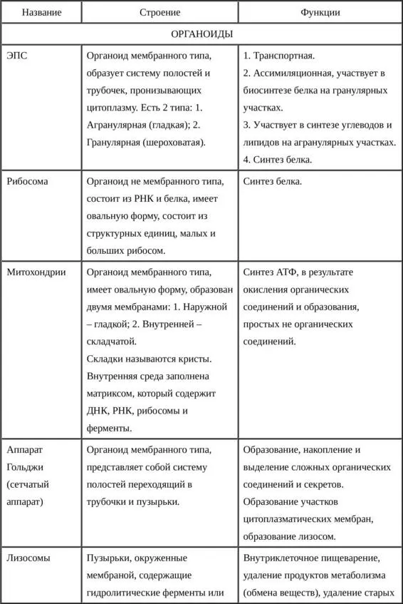 Специальные органеллы Обеспечивают специфичность функций клетки В мышечных - фото 8
