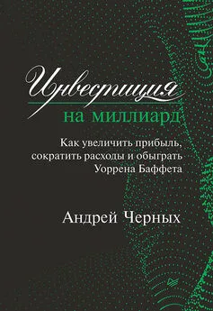 Андрей Черных - Инвестиция на миллиард. Как увеличить прибыль, сократить расходы и обыграть Уоррена Баффета