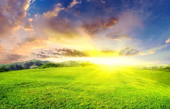 Вся зацвела земля В четвертый день Бог создал солнце и светила Звездочки - фото 16