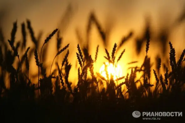 Рост производства и закупок сельскохозяйственной продукции предусматривался в - фото 26