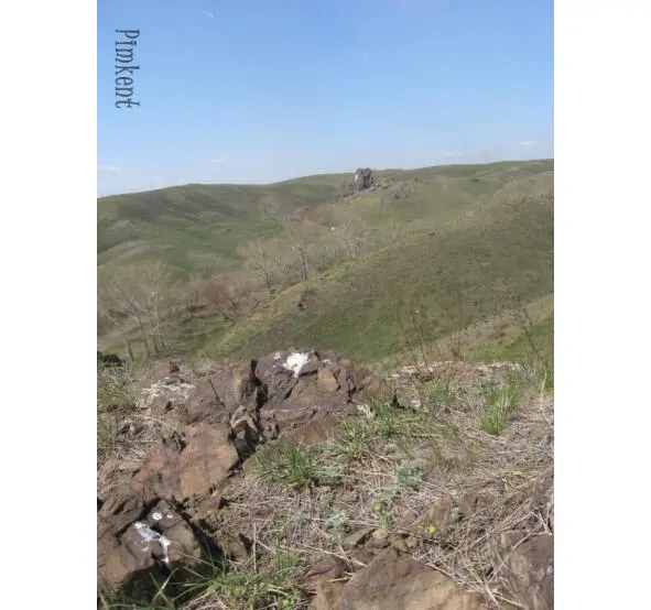 Действительно это была ложбина между нагромождени - фото 36