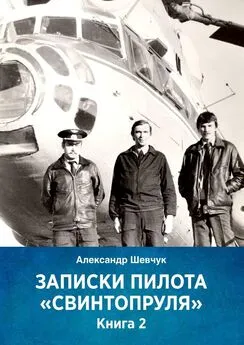 Александр Шевчук - Записки пилота «Свинтопруля». Книга 2