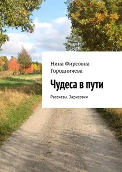 Нина Городничева - Чудеса в пути. Рассказы. Зарисовки