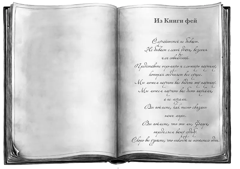 Из Книги фей Случайностей не бывает Не бывает слепой удачи везения или - фото 2