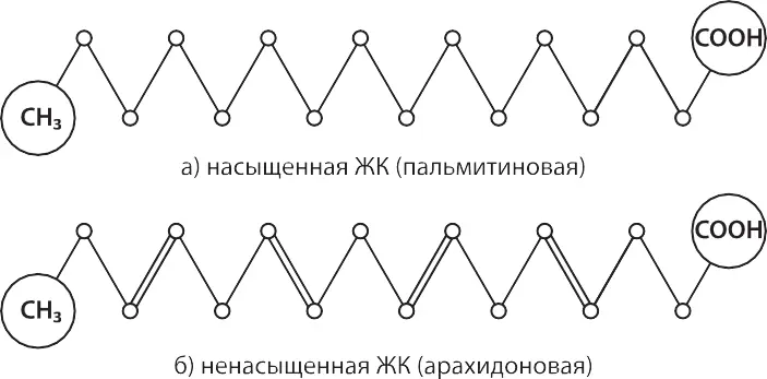 Наверное вы слышали что ненасыщенные жиры полезные а насыщенные вредные И - фото 38