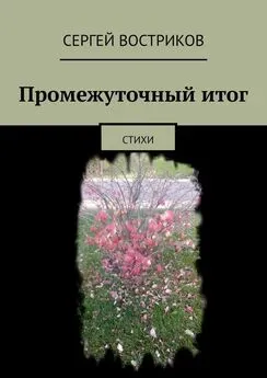 Сергей Востриков - Промежуточный итог. Стихи