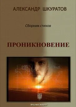 Александр Шкуратов - Проникновение. Сборник стихов