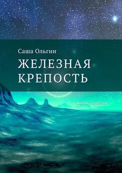 Саша Ольгин - Железная крепость. Книга третья