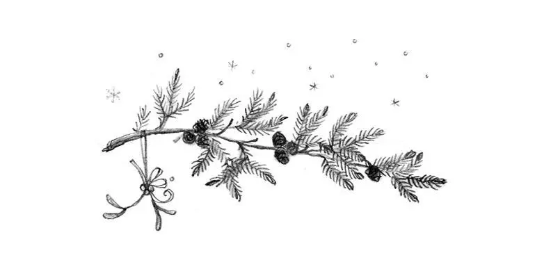 Маленькие истории о чудесах и дружбе Иллюстрации Элисон Эдгсон ON A SNOWY - фото 1