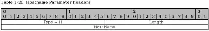 The Hostname parameter is used to send a single hostname as an address Thea - фото 22