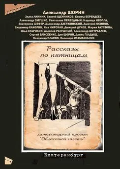 Александр Шорин - Рассказы по пятницам. Литературный проект «Областной газеты»