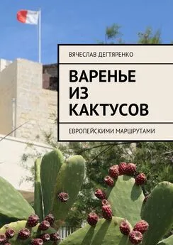 Вячеслав Дегтяренко - Варенье из кактусов. Европейскими маршрутами