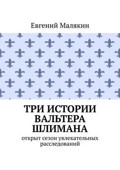 Евгений Малякин - Три истории Вальтера Шлимана