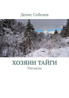 Денис Соболев - Хозяин тайги. Рассказы