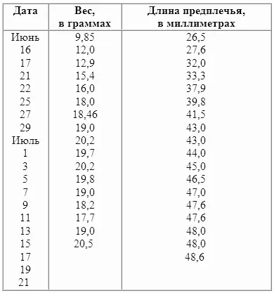 К сожалению через три недели у матери стало постепенно пропадать молоко Я - фото 18