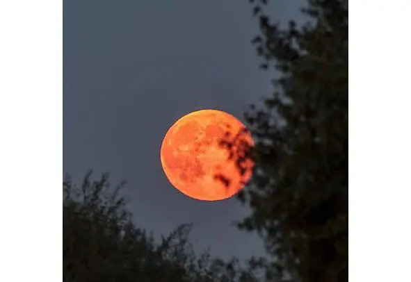 Зеркало Луна Свет Луны затмевает туман Будто реки рассеянных звезд - фото 1