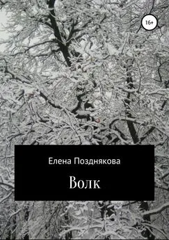 Елена Позднякова - Волк