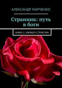 Александр Марченко - Странник: путь в боги. Книга 2: элемент-структура