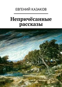 Евгений Казаков - Непричёсанные рассказы