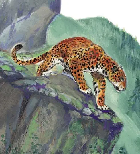 Леопард может прикинуться мёртвым и часами неподвижно лежать поблизости от - фото 77