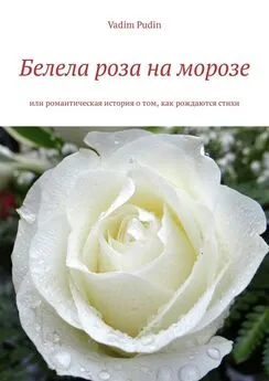 Vadim Pudin - Белела роза на морозе. Или романтическая история о том, как рождаются стихи