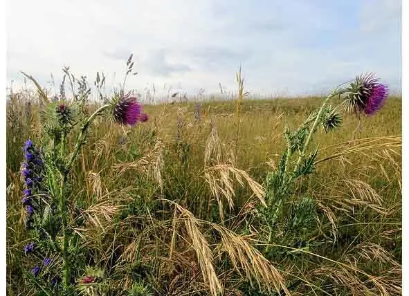Фреймы странствий Frames of wanderings - фото 140