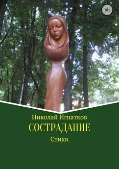 Николай Игнатков - Сострадание. Сборник стихотворений