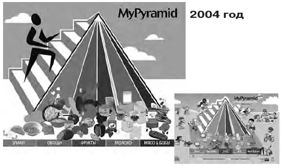 Рис 4 Пирамида здорового питания Моя пирамида 2004 г Вновь пирамида - фото 8