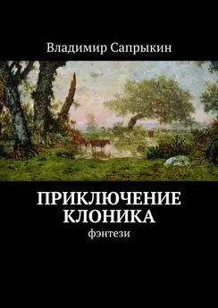 Владимир Сапрыкин - Приключение Клоника. Фэнтези