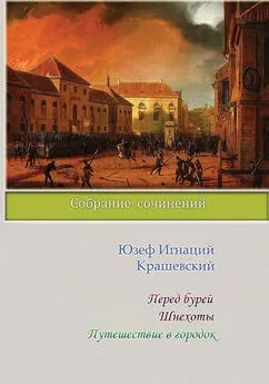 Юзеф Игнаций Крашевский - Перед бурей. Шнехоты. Путешествие в городок (сборник)