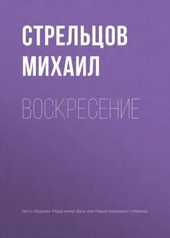 Михаил Стрельцов - Воскресение