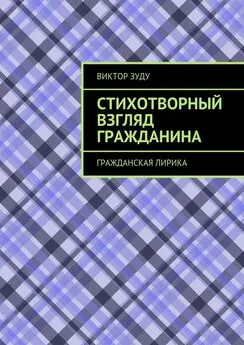 Виктор Зуду - Стихотворный взгляд гражданина. Гражданская лирика