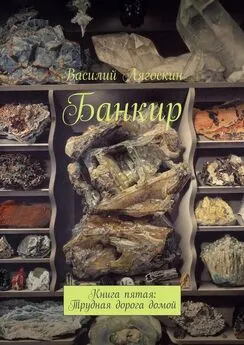 Василий Лягоскин - Банкир. Книга пятая: Трудная дорога домой