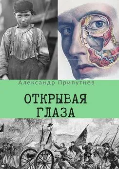 Александр Припутнев - Открывая глаза