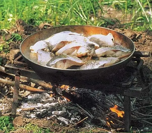 Свежепойманный жерех ароматен и вкусен Ловля спиннингом в коряжнике нередко - фото 394